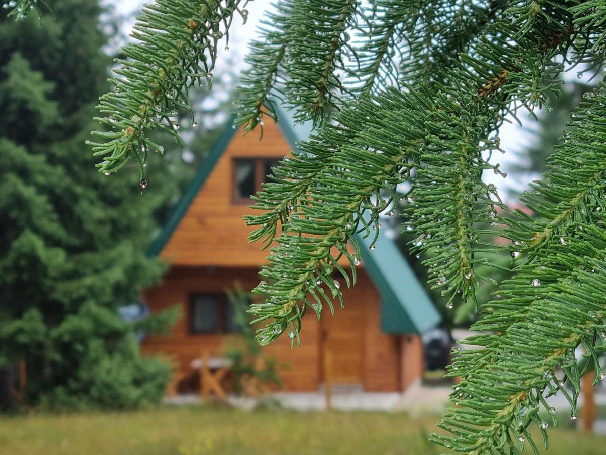 Hedonist Village Žabljak Exterior foto